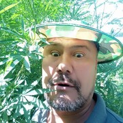 ���������� ������, ���� ������� �����, 36 ���, ������������ ��� ������, ����� � ���������