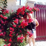  Kirkenes,   Galina, 67 ,   ,   , c 