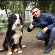 ���������� ���������� �����, ���� ������� �������, 33 ����, ������������ ��� ������, ����� � ���������