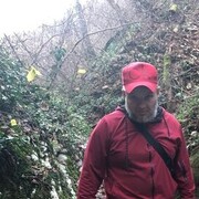  ,   , 54 ,   ,   