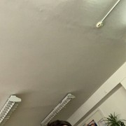 ���������� ������, ���� ����� ����, 23 ����, ������������ ��� ������, ����� � ���������, c�������� ���������, ���������