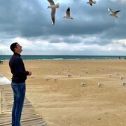 ���������� ������, ���� ������� �������, 34 ����, ������������ ��� ������, ����� � ���������, ���������