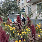 ���������� ������, ���� ������� ��������, 57 ���, ������������ ��� ����� � ���������, c�������� ���������, ���������