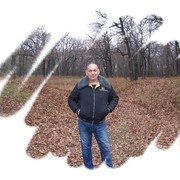  ,   , 55 ,   