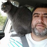  ,  Elman, 35