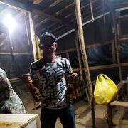 ���������� ������, ���� ������� ������, 30 ���, ������������ ��� ������, ����� � ���������