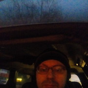  ,   Tiger, 46 ,   