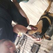 ���������� ������, ���� ������� ����, 32 ����, ������������ ��� ������, ����� � ���������