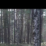  -,   , 48 ,   ,   