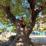  Vilanova i la Geltru,   , 40 ,   