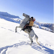 ���������� ��������, ���� ������� �����, 31 ���, ������������ ��� ������, ����� � ���������