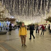 ���������� ����������, ���� ������� ���������, 38 ���, ������������ ��� ����� � ���������, c�������� ���������