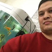  ,   , 40 ,   