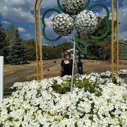   ,   , 61 ,     , c , 