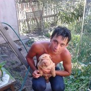 ���������� ������, ���� ������� ����, 36 ���, ������������ ��� ������, ����� � ���������, c�������� ���������, ���������