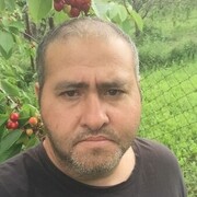 ���������� �����, ���� ������� �����, 46 ���, ������������ ��� ������, ����� � ���������