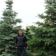 ���������� ���������, ���� ������� �������, 43 ����, ������������ ��� ������