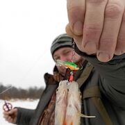 ���������� ��������, ���� ������� ������, 46 ���, ������������ ��� ������, ����� � ���������