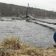 ���������� ��������, ���� ������� ������, 46 ���, ������������ ��� ������, ����� � ���������, c�������� ���������, ���������