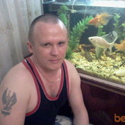  ,   Irbis, 46 ,   ,   , c 