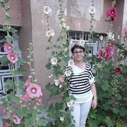  ,   , 61 ,  