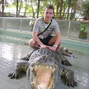 ���������� ��������, ���� ������� �����, 40 ���, ������������ ��� ������, ����� � ���������, c�������� ���������