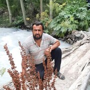 ���������� ������, ���� ������� ������, 46 ���, ������������ ��� ������, ����� � ���������