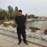  ,   , 43 ,   ,   