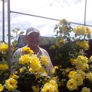  ,   , 72 ,   ,   , c 