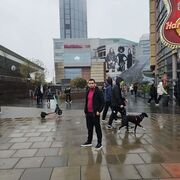  Warszawa,   Airo akhroro, 29 ,     , c 