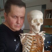  ,  , 43