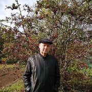  -,   , 63 ,   ,   