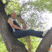  ,   MAXO, 65 ,  