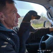 ���������� ����� �������, ������� ���������, 58