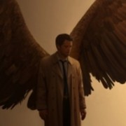 ���������� �������, ���� ������� ������, 44 ����, ������������ ��� ������