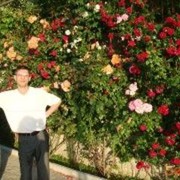 ���������� ������, ���� ������� Aram, 52 ����, ������������ ��� ������, ����� � ���������, c�������� ���������