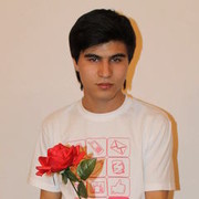 ,   Vladimir, 33 ,   
