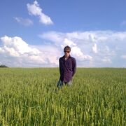 ���������� ����, ���� ������� ������, 37 ���, ������������ ��� ������, ����� � ���������