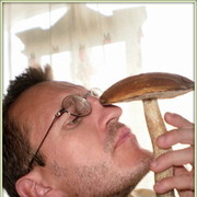  ,   , 51 ,   