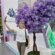 ���������� ������, ���� ������� ������, 42 ����, ������������ ��� c�������� ���������, ���������