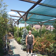 ���������� ��������������, ���� ������� ���� �����, 57 ���, ������������ ��� ����� � ���������, c�������� ���������