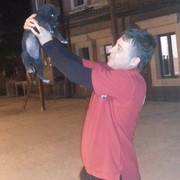 ���������� �������, ���� ������� �������, 34 ����, ������������ ��� ������, ����� � ���������, c�������� ���������