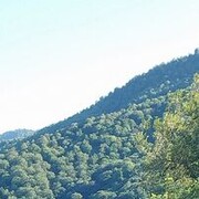 ���������� ������, ���� ����� ����, 23 ����, ������������ ��� ������, ����� � ���������, c�������� ���������