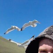  -,   Zhigan, 28 ,   ,   , c 