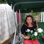  --,   , 51 ,   ,   , c 