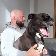 ���������� ������, ���� ������� Edward, 55 ���, ������������ ��� ������, ����� � ���������