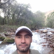 ���������� ������, ���� ������� ����, 43 ����, ������������ ��� ������, ����� � ���������, c�������� ���������