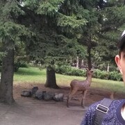  ,   , 43 ,   ,   , c 