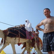 ���������� ������, ���� ������� Spo, 50 ���, ������������ ��� ������