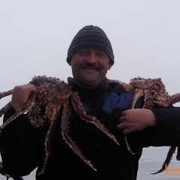  ,   , 54 ,   ,   , c 